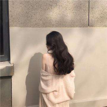 抱抱兽娘手机版下载